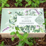 FLAVOUR HERB GARDEN START-A-GARDEN' GIFT BOX