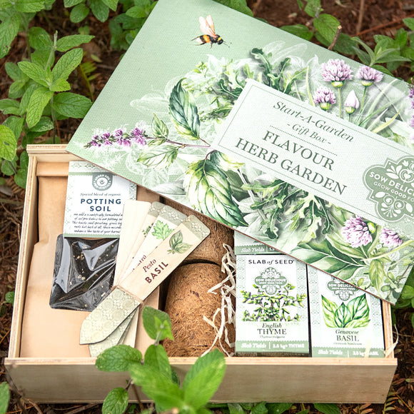 FLAVOUR HERB GARDEN START-A-GARDEN' GIFT BOX
