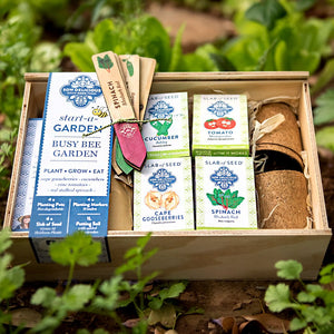 'Busy Bee Start-a-Garden' Gift Box - Tallula