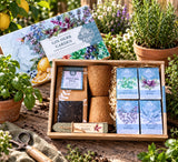 ‘Gin Herb Start-a-Garden’ Gift Box