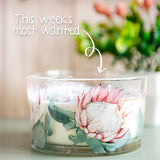 Protea Luxury Scented Candle (Triple Wick)