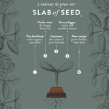 Slab of Seed - Basil - Tallula