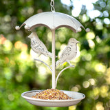 Hanging Bird Feeder