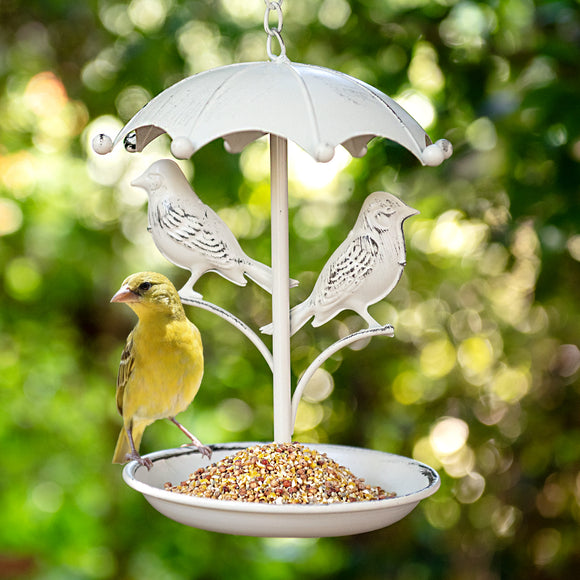 Hanging Bird Feeder